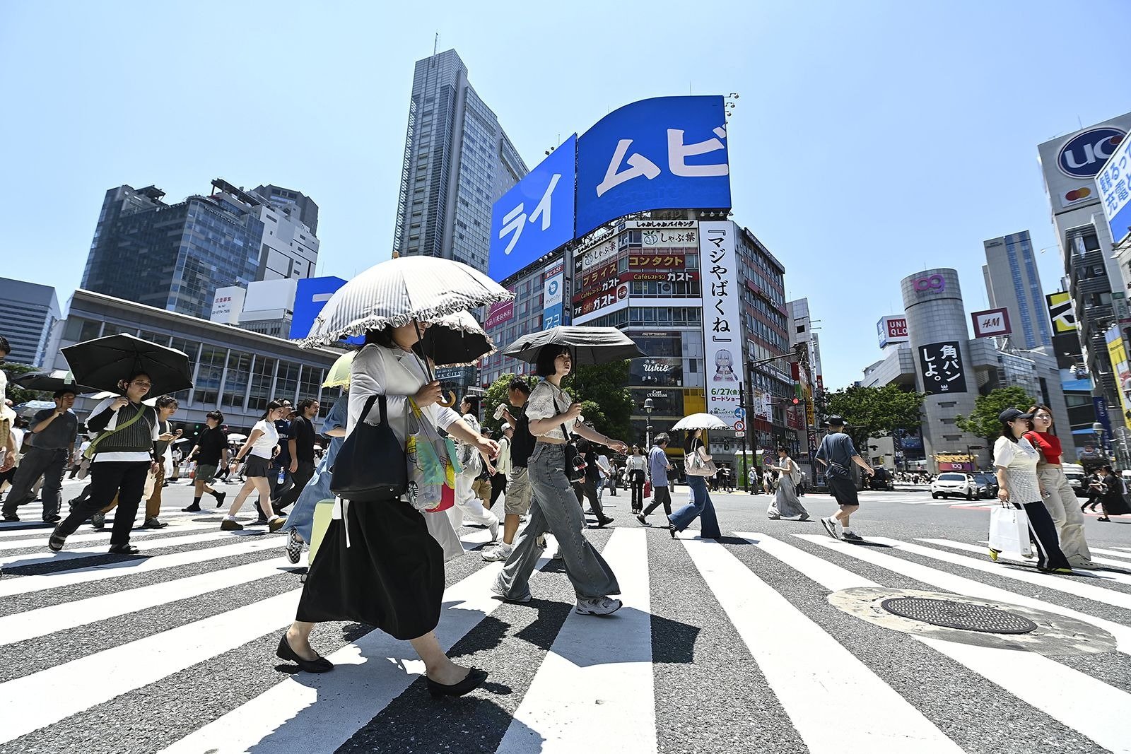 blog